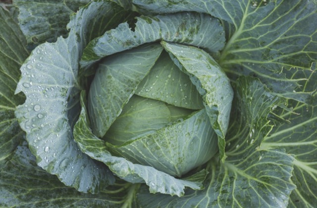 Alimentation andropause