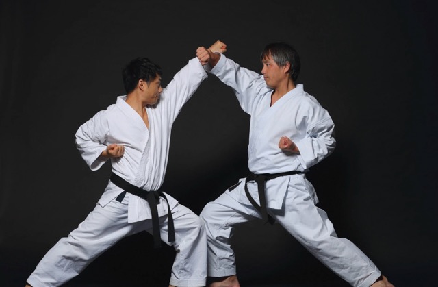 Sports de combat andropause
