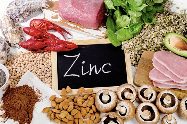 Zinc Aliments testosterone