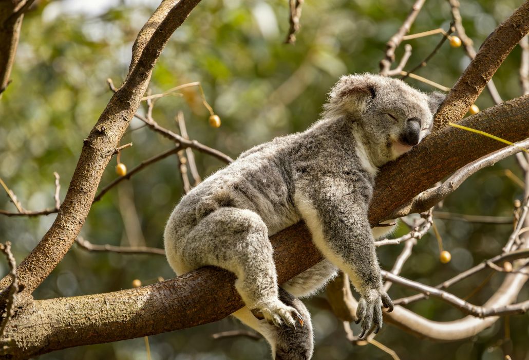 Sommeil après 50 ans : comprendre et retrouver vos nuits