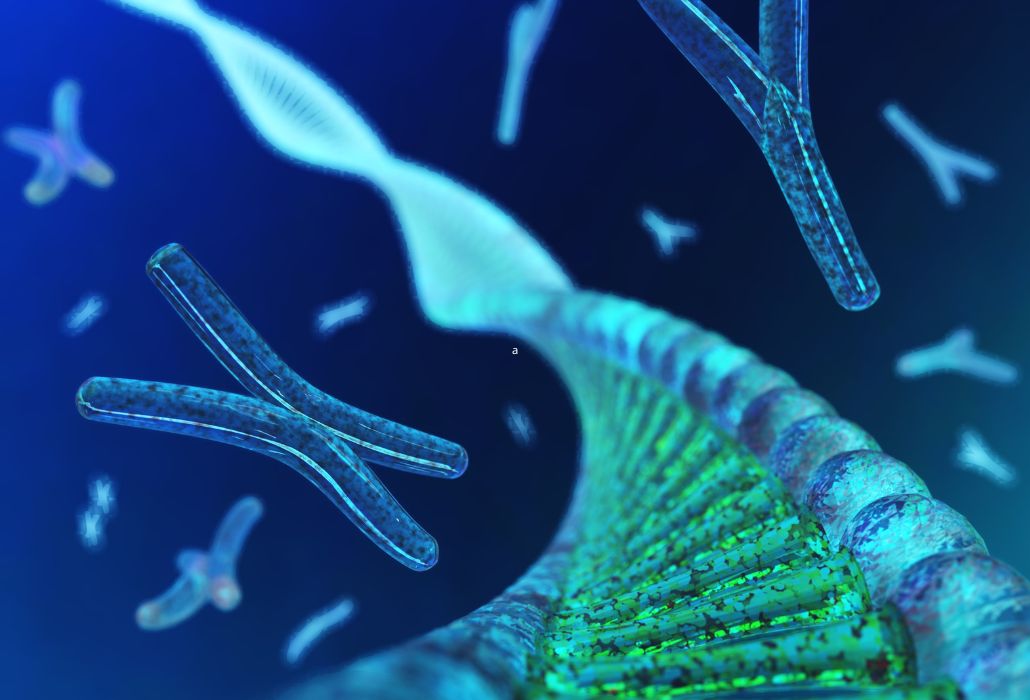 Comprendre le caryotype XXY : tout savoir en 2025